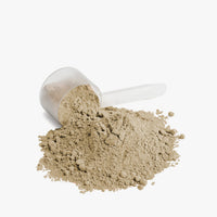 Axxis Protein (Vanilla)