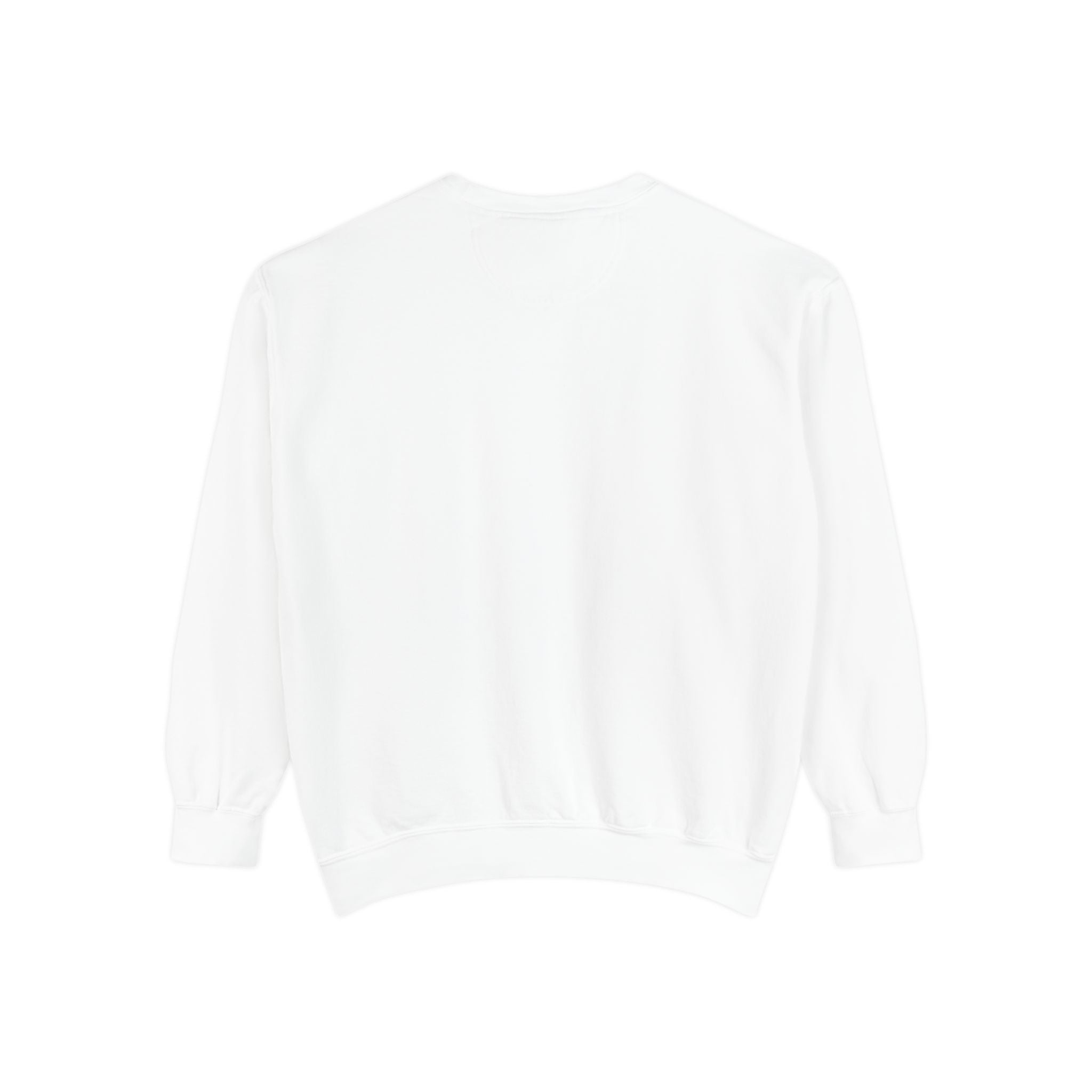 Minimalist Axxis Logo Sweatshirt