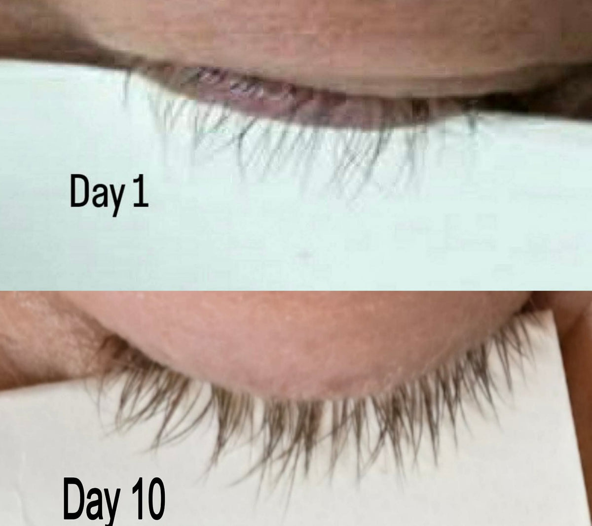 Lash & Brow Serum