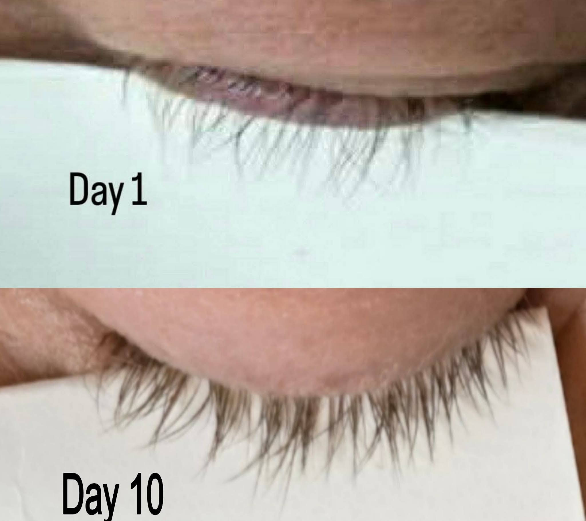 Lash & Brow Serum