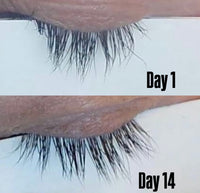 Lash & Brow Serum