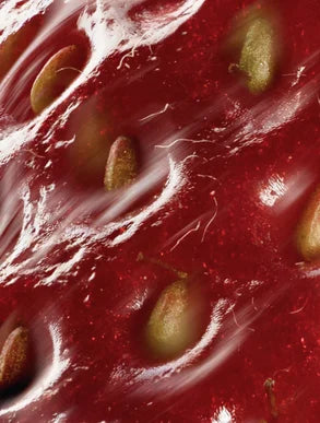 Aloe Peptide Serum