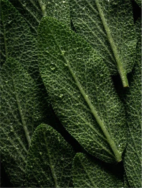 Keratin Volume Boost Shampoo