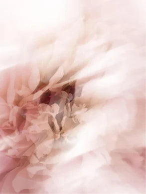 Aloe Smoothing Eye Cream