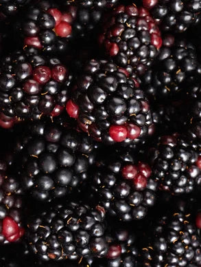 Aloe Radiance Facial Cleanser