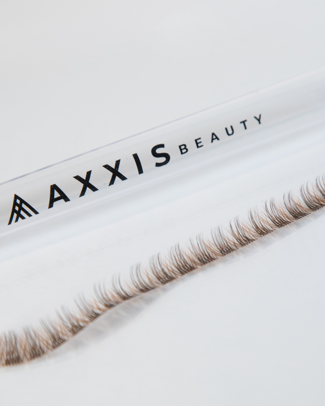 Fusion Lash Lines